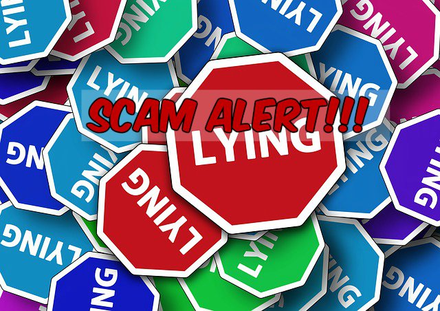 The Online Business Systems Scam