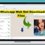 whatsapp-files-not-working