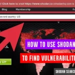 use-shodan-vulnerabilities