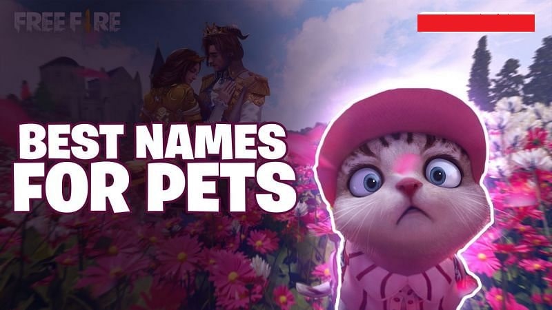 Best names for pets in Free Fire