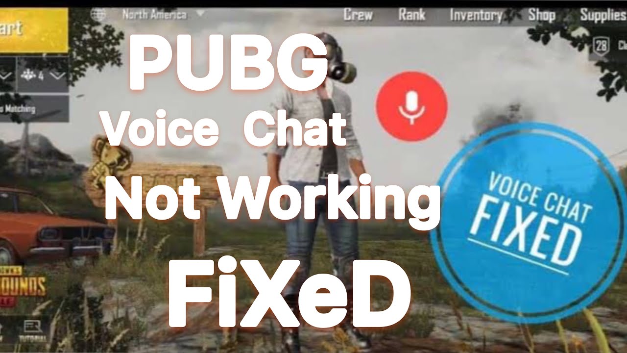 How to fix PUBG Voice Chat not Working?