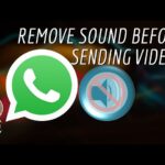 Remove Sound from Whatsapp Video