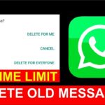 How to Delete WhatsApp Message for Everyone After Time Limit?