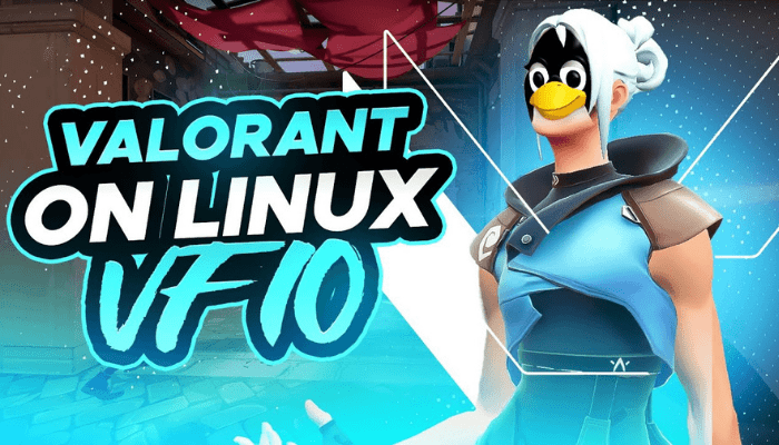 How to Play Valorant on Linux