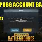 my-pubg-account-banned-min