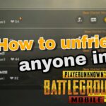 remove-friends-pubg-mobile-min