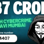 Cybercrime Investigation Maharashtra