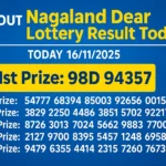 Nagaland Dear Lottery Result Today 16/11/2025 – Winning Numbers and Prize Details