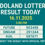 Bodoland Lottery Result Today 16-11-2025 — 3 PM winners list and top prize numbers.